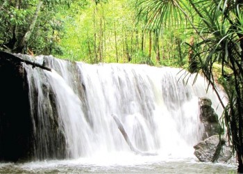 Suối Tranh Phú Quốc: Khám phá vẻ đẹp hoang sơ, điểm đến lý tưởng cho chuyến du lịch đảo ngọc