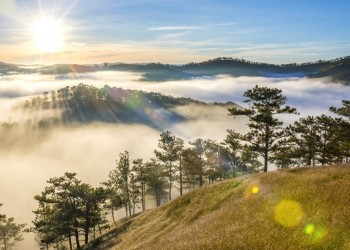 Đà Lạt tháng Mười Một: Sắc hoa rực rỡ, đẹp đến nao lòng