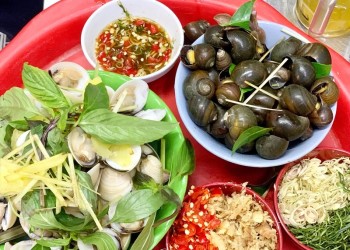 Top 15 Quán Ốc Luộc Ngon Nhất Hà Nội: Hành Trình Khám Phá Hương Vị Độc Đáo