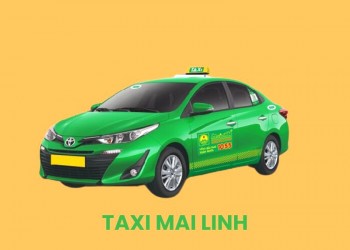 Taxi Long Khánh Giá Rẻ: 7+ Hãng Hoạt Động 24/7, Gọi Ngay!