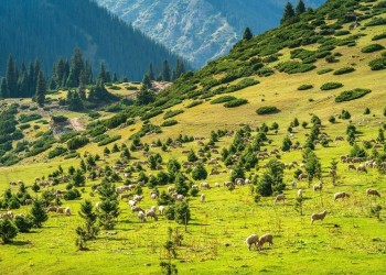 Kyrgyzstan: Nơi đất trời hòa quyện, vẻ đẹp như tranh vẽ