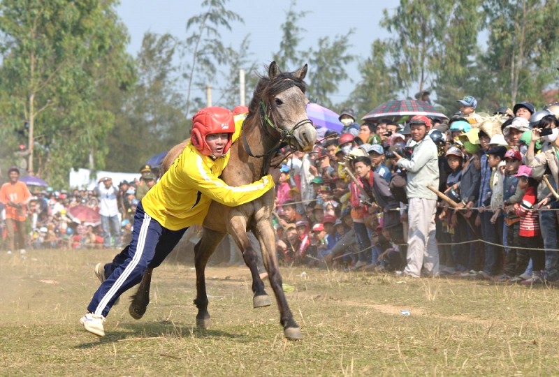 Ngựa phi nước đại, người cưỡi bám chặt.