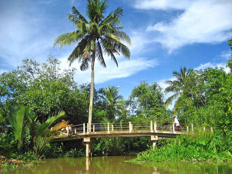 Mỏ Cày Nam: Vẻ đẹp thiên nhiên hoang sơ với vườn dừa xanh.