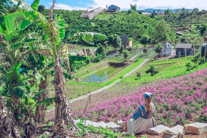 Cánh đồng hoa Đà Lạt rực rỡ sắc màu, giữa khung cảnh núi rừng thơ mộng. (Ảnh: Phương Trâm Nguyễn)