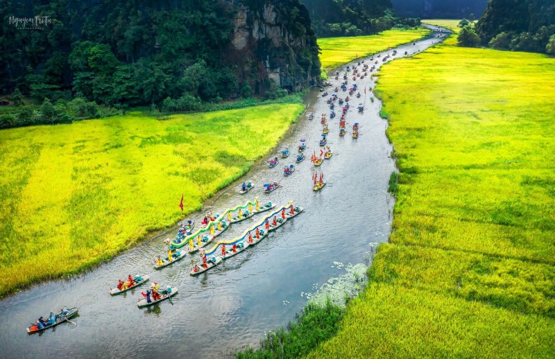 Lễ hội rộn ràng, lúa chín vàng Tràng An.