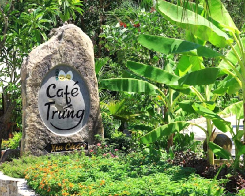 Cafe Trứng: Nơi thưởng thức và khám phá ẩm thực trứng độc đáo.