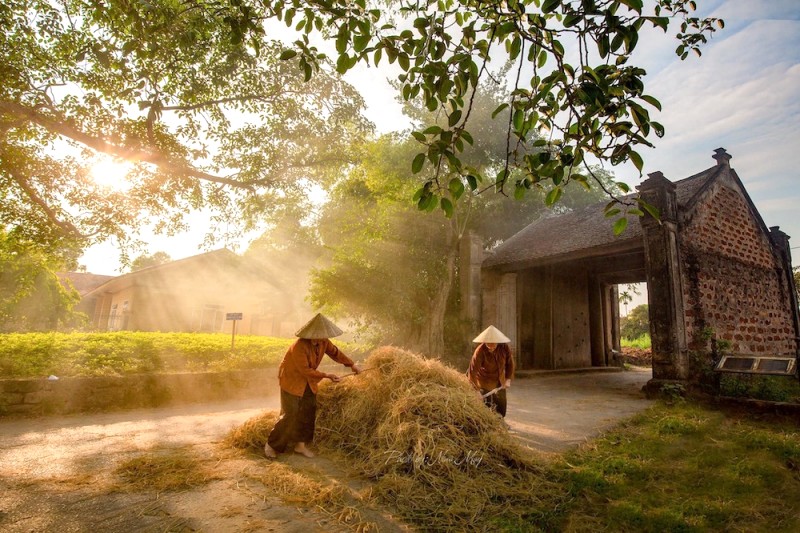 Khám phá 6 điểm hấp dẫn tại làng cổ Đường Lâm.