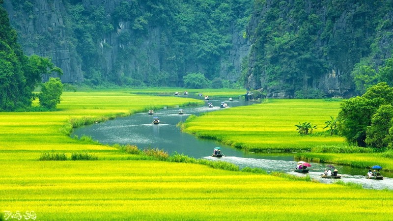 Mơ màng tiên cảnh Tam Cốc.