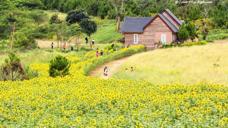 Dalat Milk Farm được thiết kế theo mô hình trang trại sữa Hà Lan.