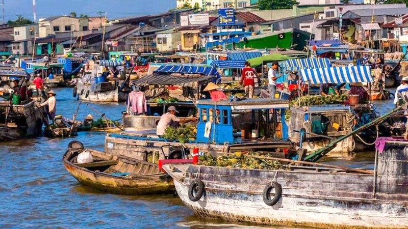 Chợ nổi Năm Căn sôi động nhất vào sáng sớm (5-6h). Hãy đến sớm để hòa mình vào không khí náo nhiệt nơi đây.