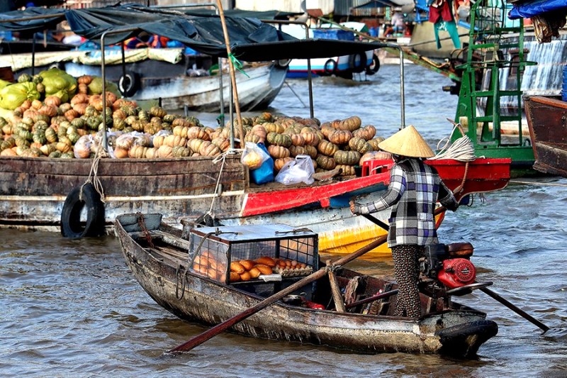 Khám phá Vĩnh Long mùa nước nổi, đẹp mê hồn miền Tây.