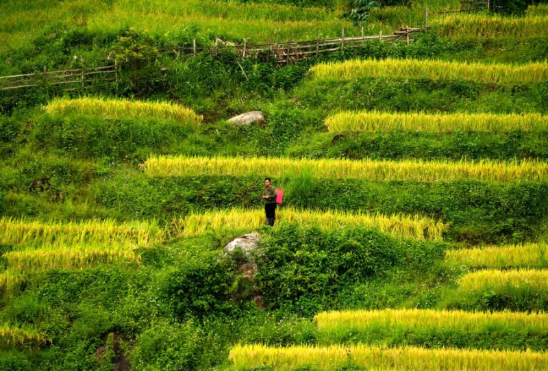 Khám phá Sapa, hòa mình vào thiên nhiên hùng vĩ và văn hóa bản địa - mơ ước của mọi tín đồ du lịch.