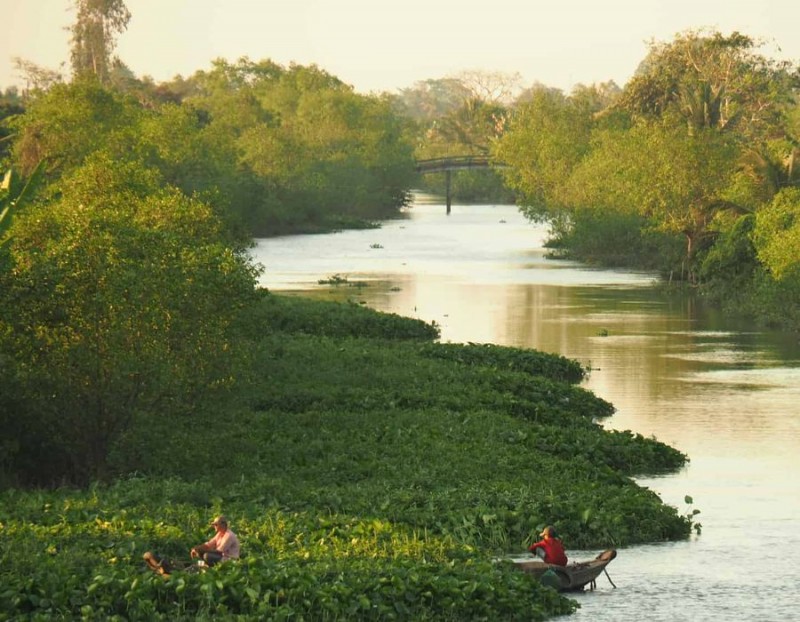 Cù lao Dài thơ mộng với dòng sông xanh biếc, điểm tô bởi lục bình và cây cối hai bên bờ.