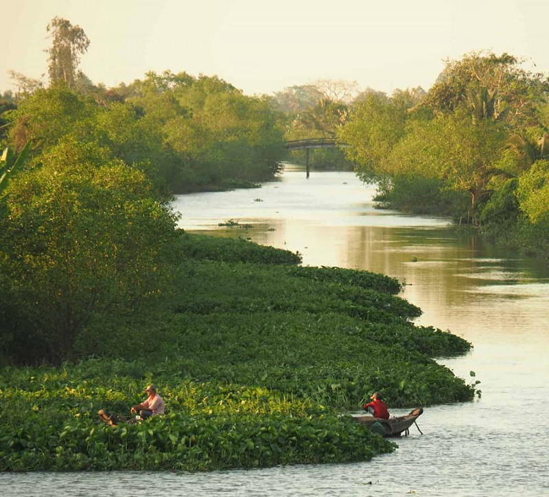 Khám phá Vĩnh Long: Cù lao An Bình - điểm đến lý tưởng.