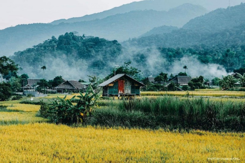 Làng quê Hà Giang đẹp như tranh, lúa vàng ươm, khói bếp chiều thơ mộng, bình yên.