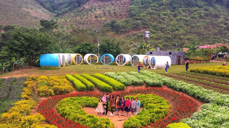 Mộc Châu Happy Land: Homestay view thung lũng xanh mát.