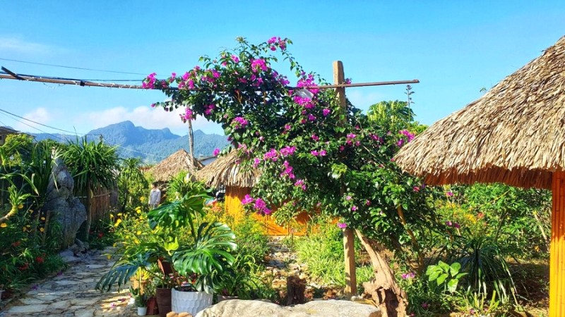 Sakura House: Khách sạn Mộc Châu lãng mạn, view đẹp.