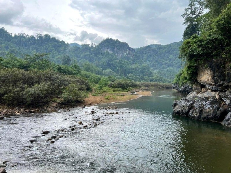 Rừng xanh, suối trong hòa quyện, tô điểm bức tranh sơn thủy tuyệt mỹ.