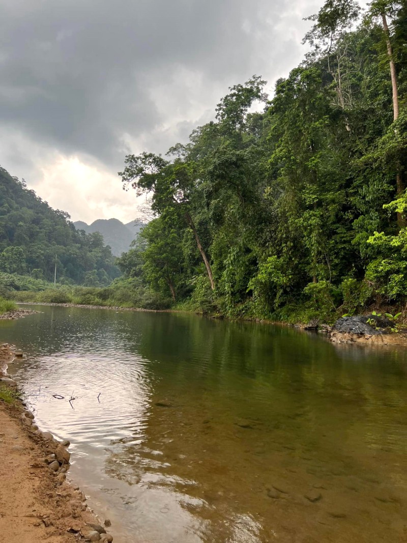 Không khí trong lành, mát mẻ, lý tưởng để trốn khỏi thành phố ồn ào.