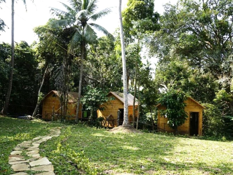 Nét mộc mạc Giraffa Homestay