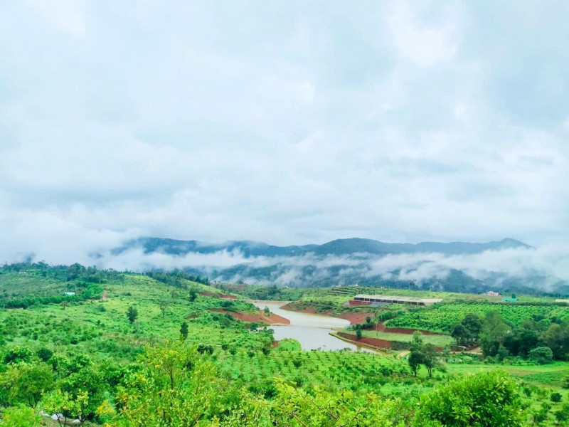 Cảnh đẹp Orfarm Măng Đen: Thung lũng cam thơ mộng.