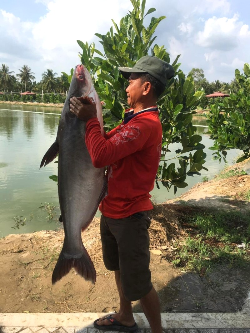 Cá nặng tối đa 20kg, mang về hoặc chế biến tại chỗ.