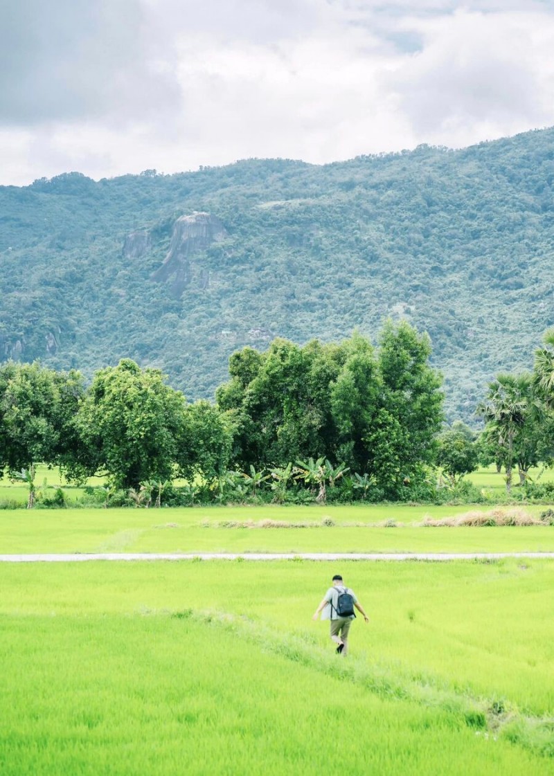 Giữa cánh đồng lúa xanh mướt bất tận ở Thất Sơn, bạn sẽ tìm thấy sự thanh bình, yên ả.