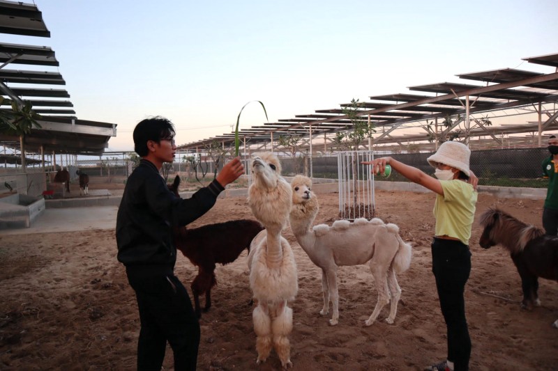 Vé tham quan Zoodoo Phan Rang giá hợp lý, phù hợp học sinh, sinh viên.