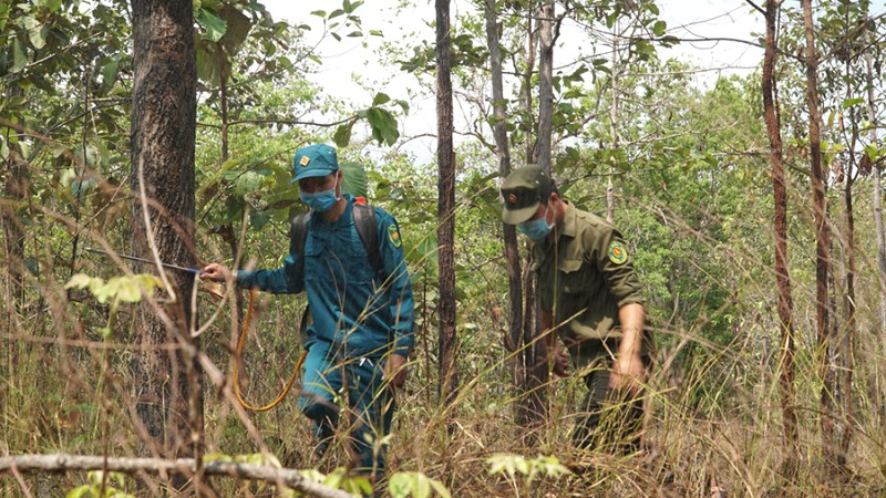 Tham quan Rừng Chàng Riệc mùa khô thuận tiện di chuyển. (Ảnh: Báo Tây Ninh)