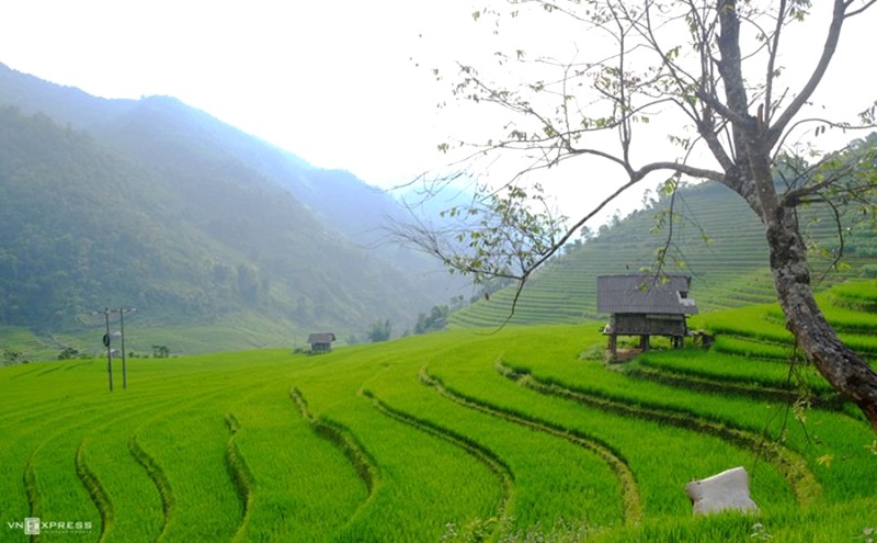 Thung lũng Nậm Cang Sapa đẹp như tranh cổ tích với ruộng bậc thang uốn lượn trên sườn đồi, điểm tô bởi những ngôi nhà sàn mộc mạc. (Ảnh: VnExpress)