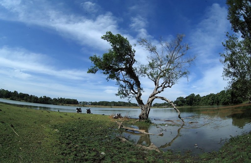 Trảng cỏ Bù Lạch, với phong cảnh hữu tình, là điểm đến lý tưởng cho những ai yêu thích du lịch.