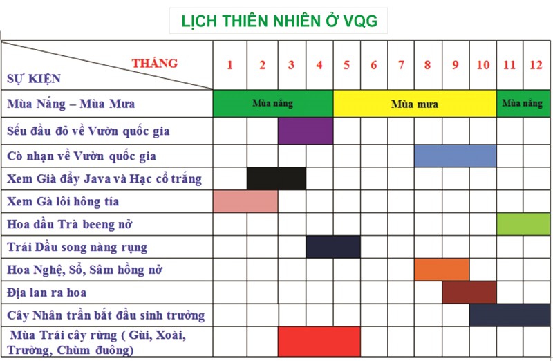 Vườn Quốc gia Lò Gò - Xa Mát đẹp theo từng khoảnh khắc. (Ảnh: Vườn Quốc gia Lò Gò - Xa Mát)