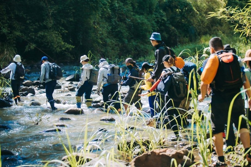 Trekking Bù Gia Mập - trải nghiệm tuyệt vời để hiểu lợi ích của thể thao du lịch bụi.