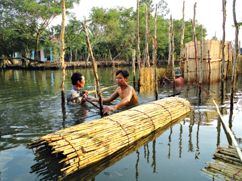 Ngư dân đang đánh cá bằng nò.