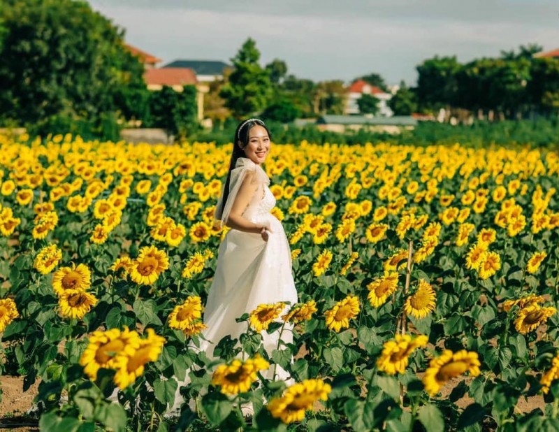 Váy trắng, outfit hoàn hảo cho Sun Flower Farm.  (94 ký tự)