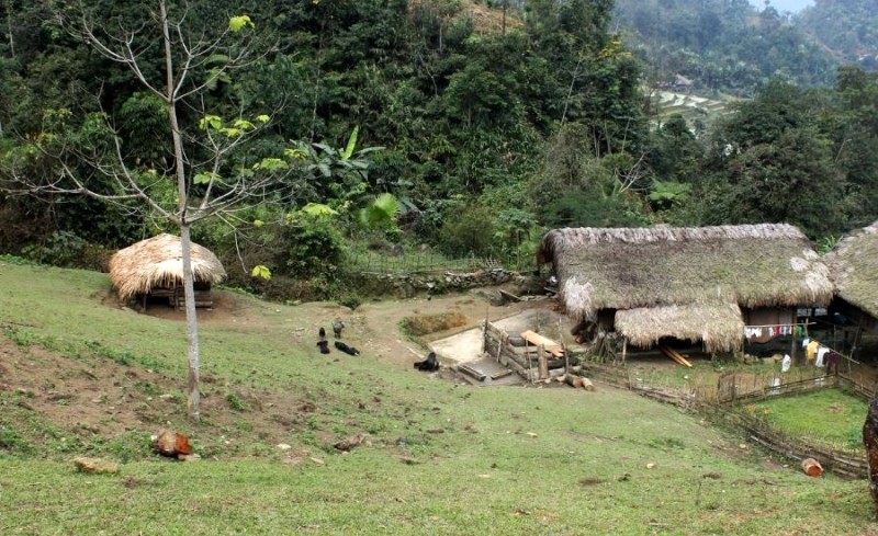 Không gian yên bình quanh homestay