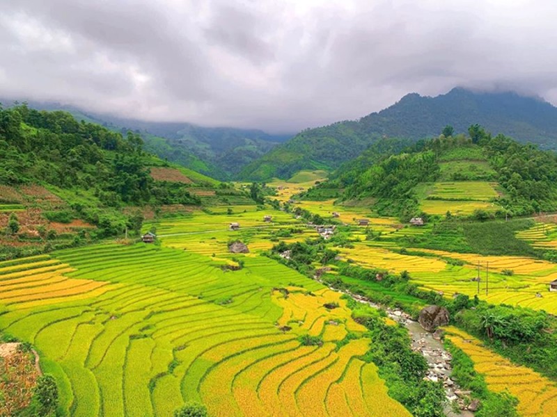 Nậm Cang mùa vàng rực rỡ với những thửa ruộng bậc thang chín vàng, tô điểm sắc màu rực rỡ cho khung cảnh.