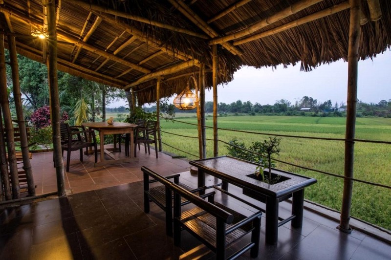 Homestay La Terrazza - Cánh đồng lúa mênh mông, thơ mộng.