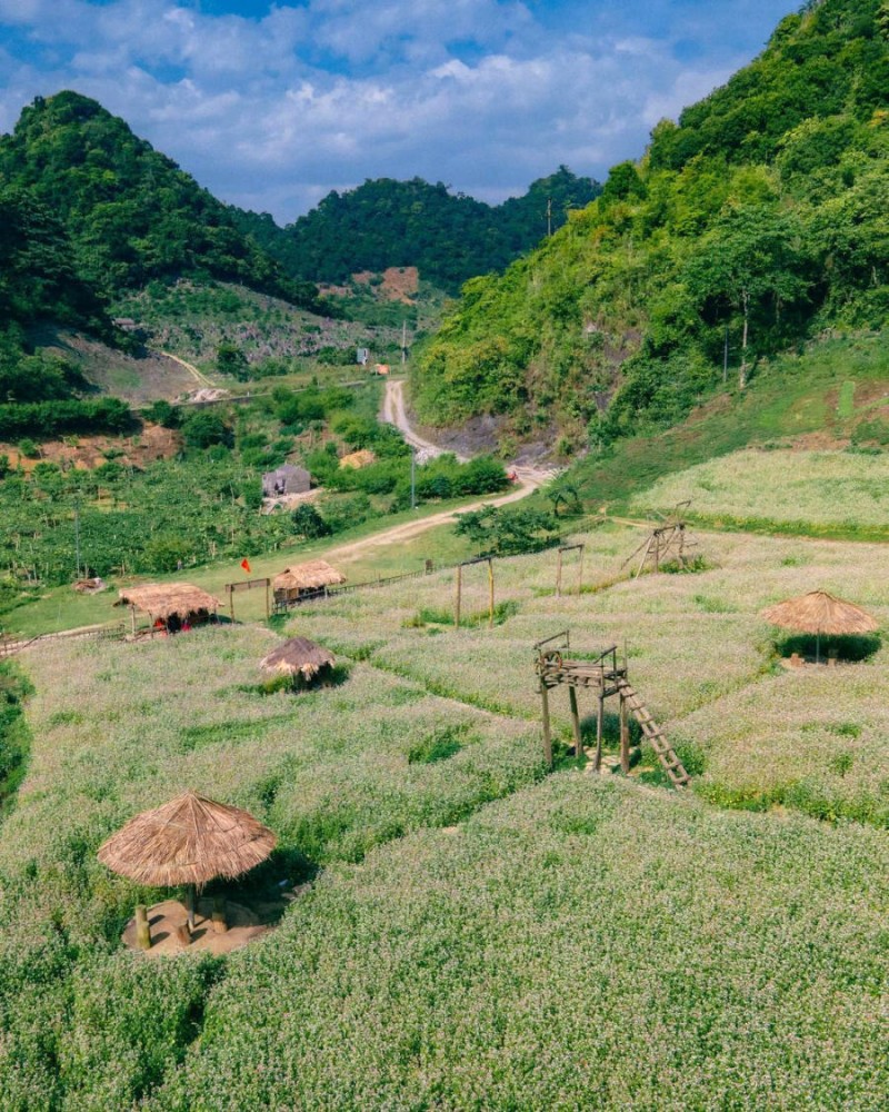 Vườn hoa có nhiều chòi nhỏ để bạn nghỉ ngơi, tránh nắng sau khi chụp ảnh.