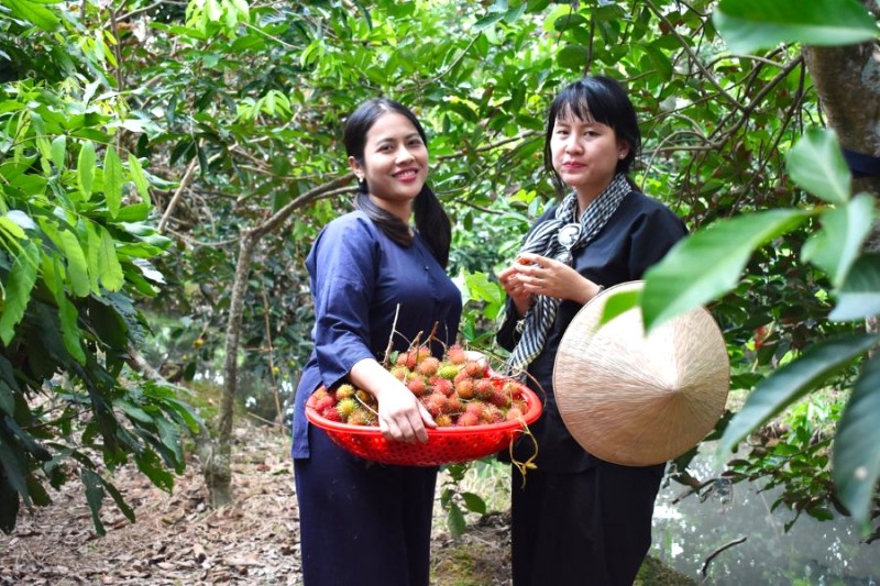 Tát mương bắt cá, mò cua bắt ốc, hay khám phá miệt vườn, thưởng thức trái cây đặc sản là những trải nghiệm thú vị tại điểm du lịch sinh thái này.