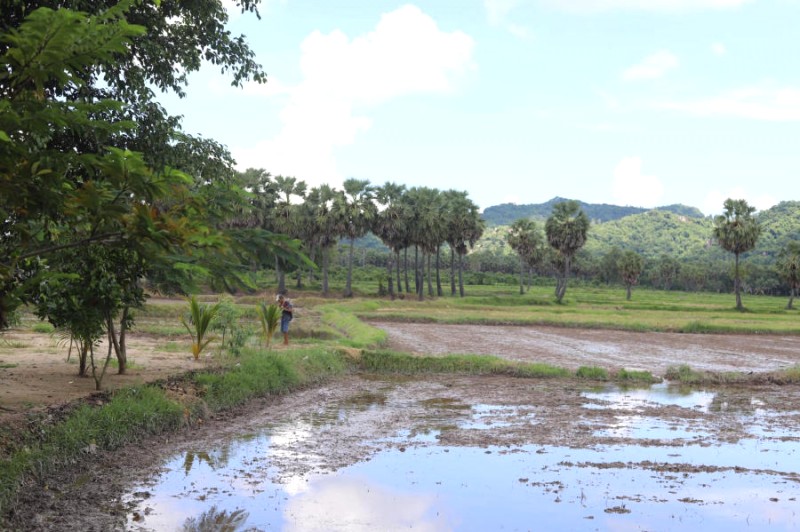 An Giang: Làng quê yên bình, mộc mạc, thư thái.