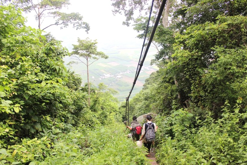 Đường cột điện dễ đi, phù hợp cho người mới tập trekking.