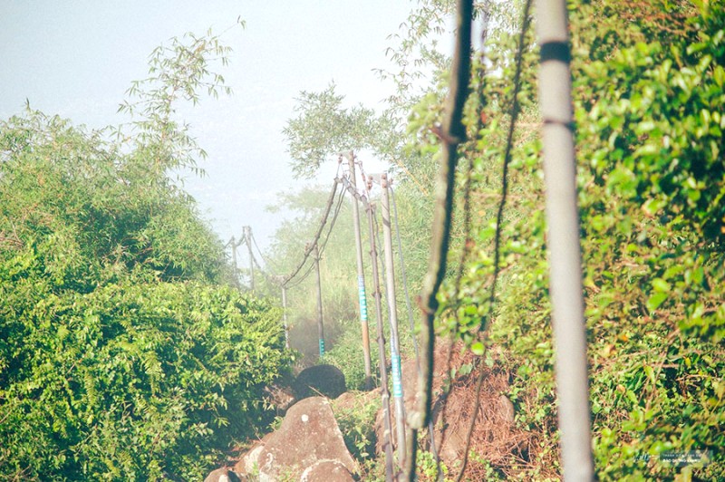 Trekking núi Bà Đen an toàn hơn khi đi theo đường cột điện.