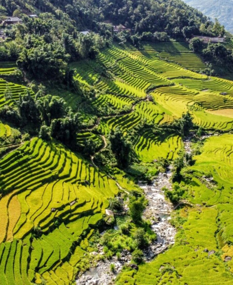 Con suối róc rách len lỏi giữa những thửa ruộng bậc thang, âm thanh vui tai tạo nên khung cảnh khiến ai cũng ngẩn ngơ xao xuyến.