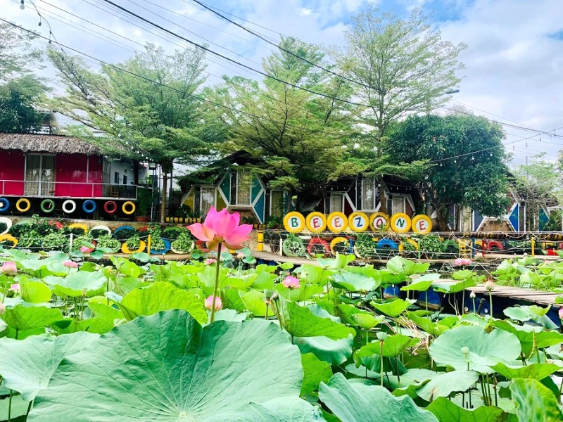 Beezone Hostel: Bungalow tổ ong độc đáo tại Buôn Ma Thuột.