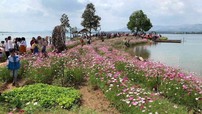 Nơi đây thu hút du khách bởi vẻ đẹp lung linh, lưu giữ khoảnh khắc ấn tượng.