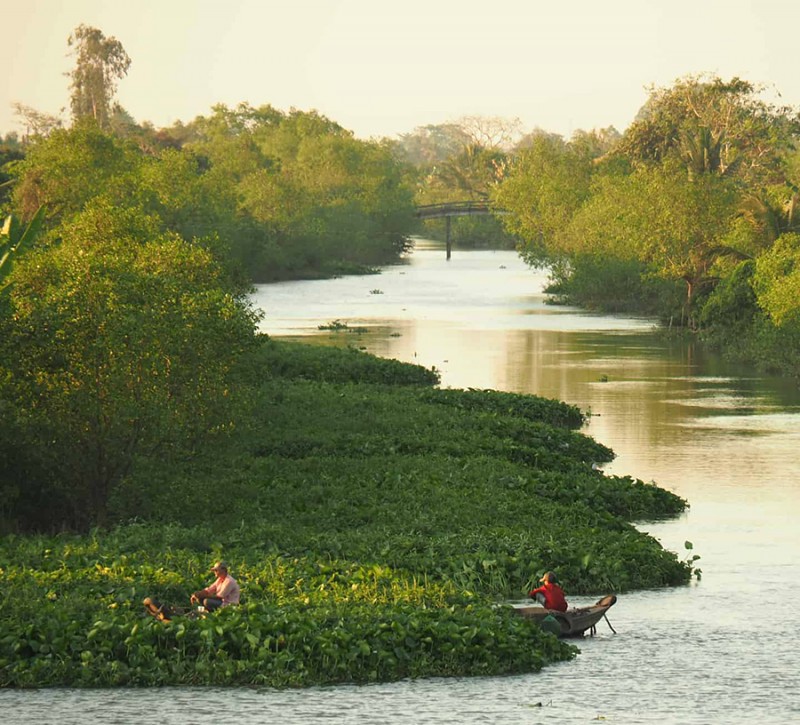 Cù lao An Bình thơ mộng.