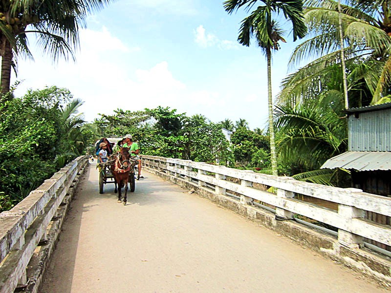 Xe ngựa, hoài niệm trên cồn cát.