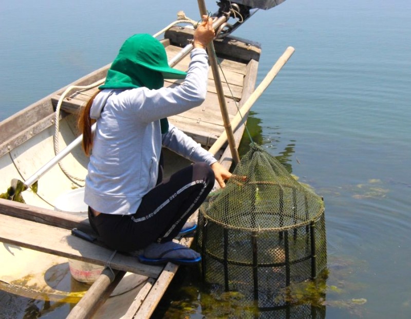 Nhà hàng nổi Chuồn Lagoon phục vụ thủy sản tươi sống, đánh bắt trực tiếp từ đầm.