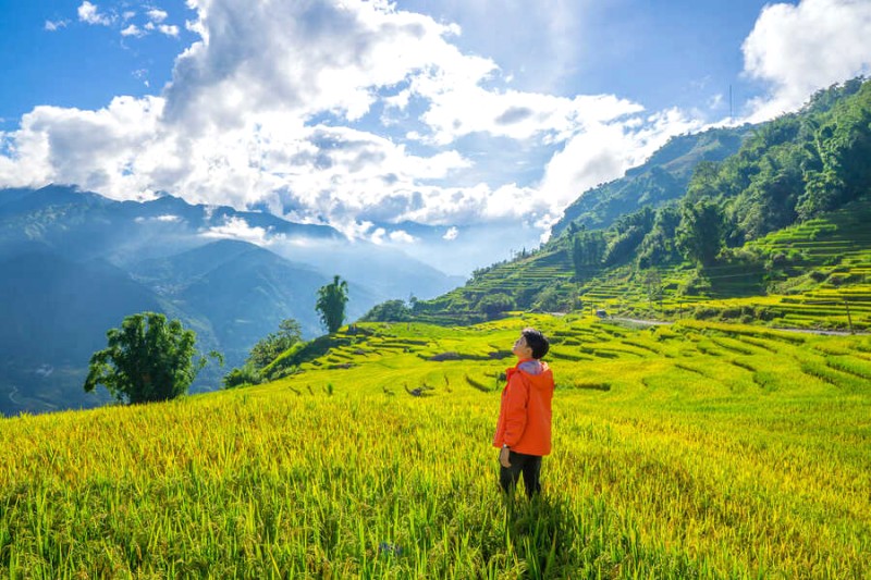 Cánh đồng lúa chín vàng, thấp thoáng sau dãy núi đá trùng điệp là những gợn mây bồng bềnh, tạo nên khung cảnh đẹp mê hồn.